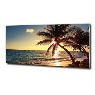 Plaja tropicala