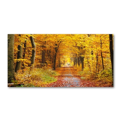 Fotografie imprimată pe sticlă pădure în toamna