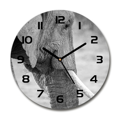 Ceas de sticlă pe perete rotund elefant