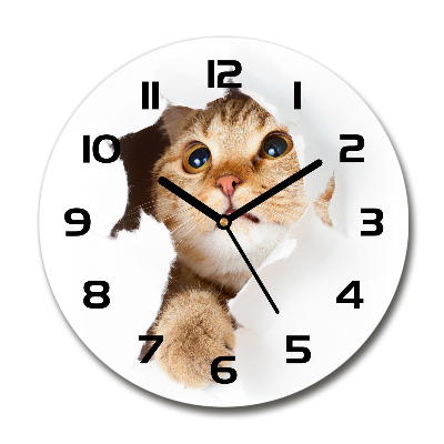 Ceas perete din sticlă rotund Cat în gaura