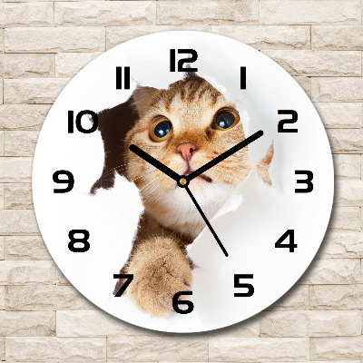 Ceas perete din sticlă rotund Cat în gaura