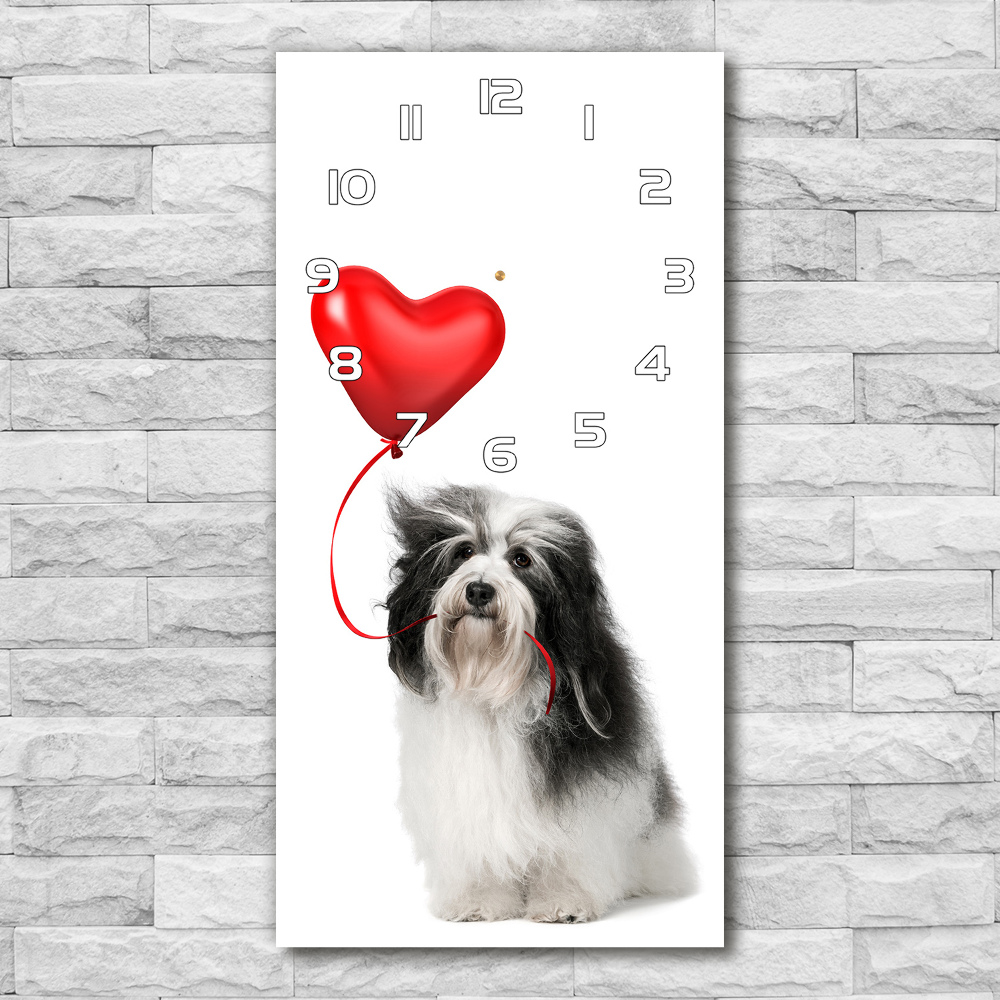 Ceas din sticlă dreptunghiular vertical balon havanese