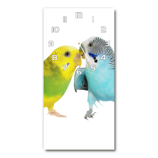 Ceas din sticlă dreptunghiular vertical budgies