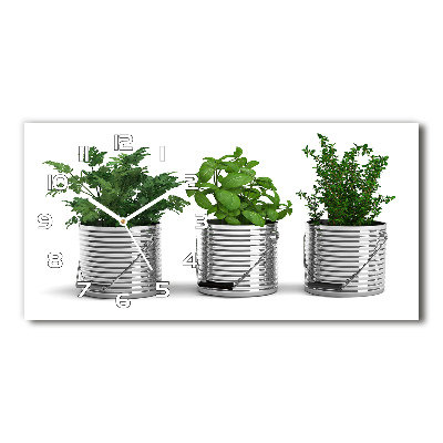 Ceas de perete modern din sticla plante aromatice