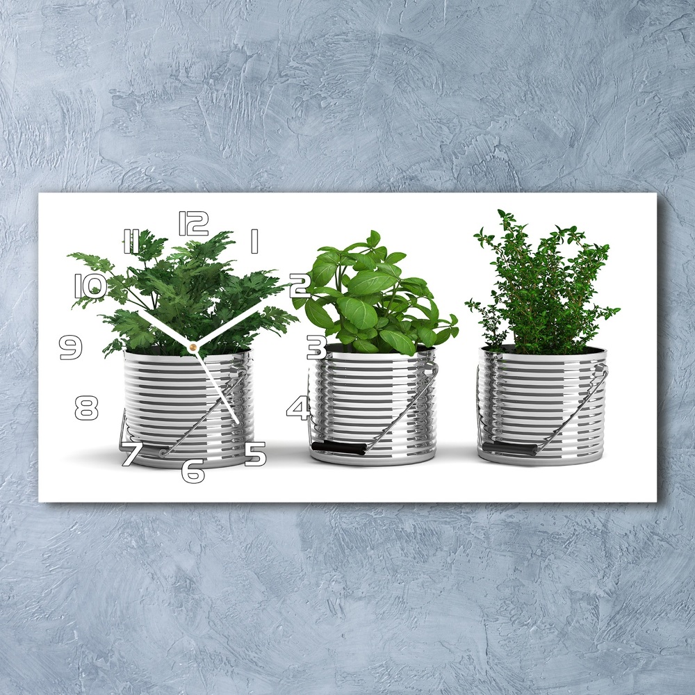 Ceas de perete modern din sticla plante aromatice