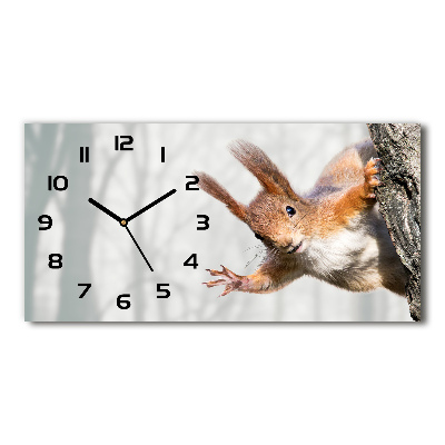 Ceas de perete modern din sticla veveriţă