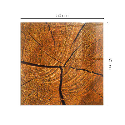 Placă dreptunghiulară din sticlă pentru șemineu Lemn în secțiune transversală cu fibre naturale