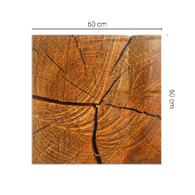 Placă dreptunghiulară din sticlă pentru șemineu Lemn în secțiune transversală cu fibre naturale