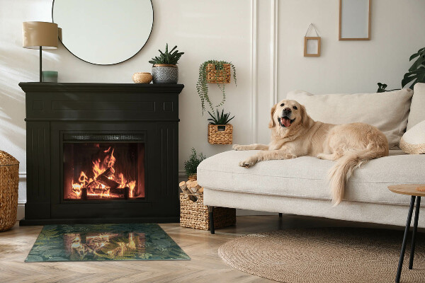 Sticlă dreptunghiulară sub sobă Modele de plante cu fluturi