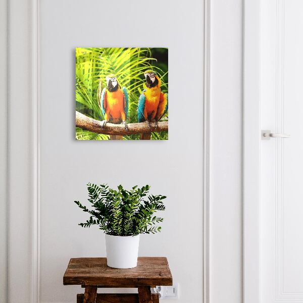 Dulap pentru chei Păsări tropicale