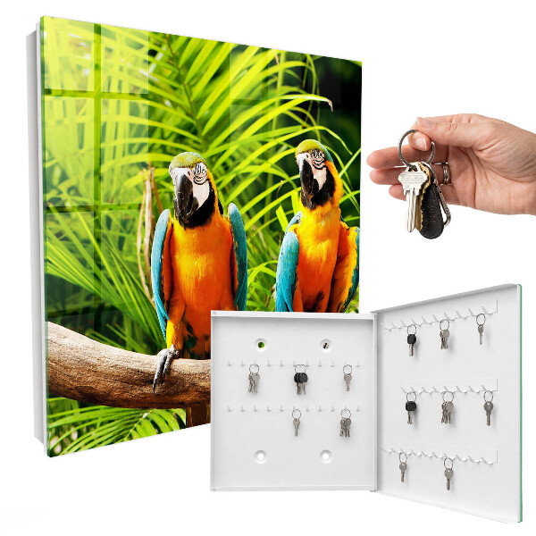 Dulap pentru chei Păsări tropicale
