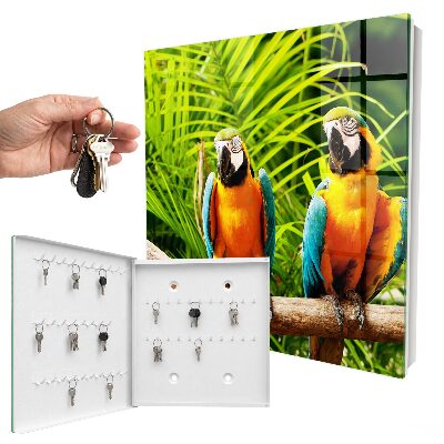 Dulap pentru chei Păsări tropicale