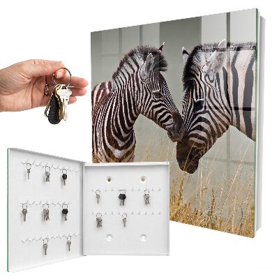 Cutie chei Zebre împreună