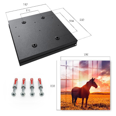 Dulap pentru chei Cal la soare