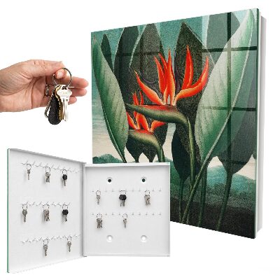 Dulap pentru chei Natură exotică