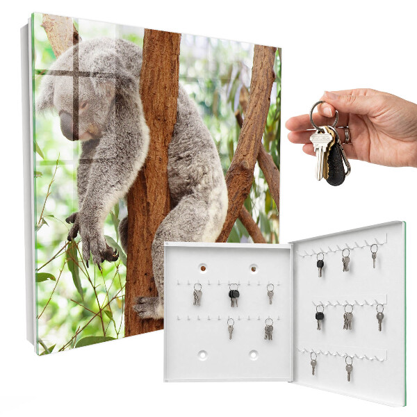 Cutie chei Relaxare Koala