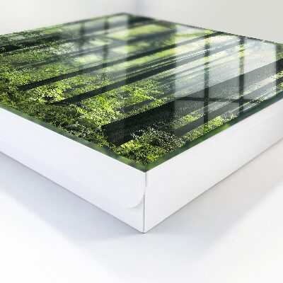 Dulap pentru chei Pădurea verde