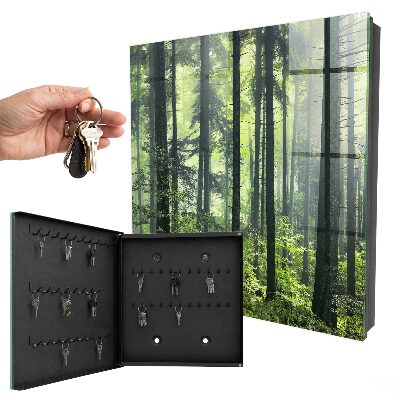 Dulap pentru chei Pădurea verde