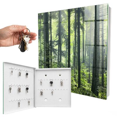 Dulap pentru chei Pădurea verde