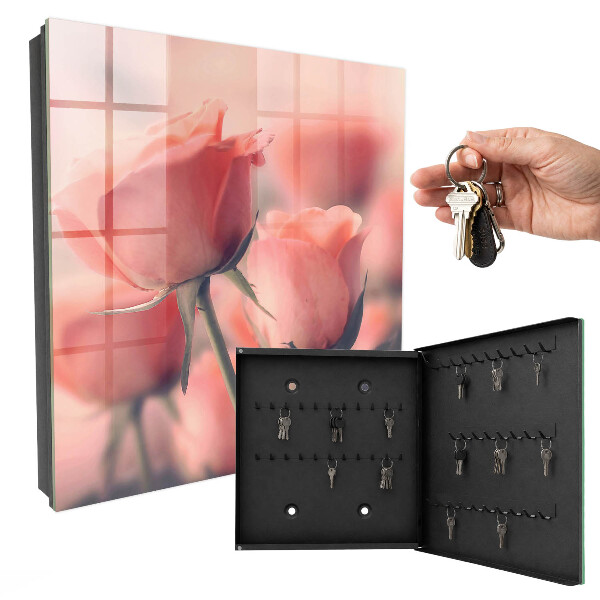 Dulap pentru chei Flori delicate