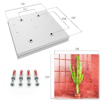 Dulap pentru chei Cactus verde