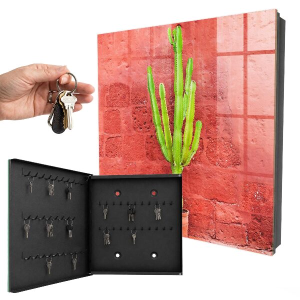 Dulap pentru chei Cactus verde