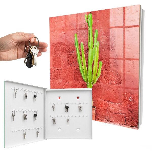 Dulap pentru chei Cactus verde