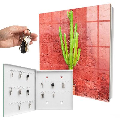Dulap pentru chei Cactus verde