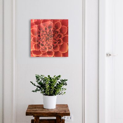 Cutie chei Model floral