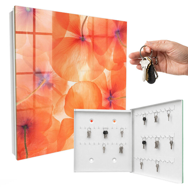 Dulap pentru chei Extaz floral