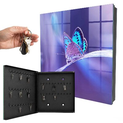 Dulap pentru chei Fluture colorat