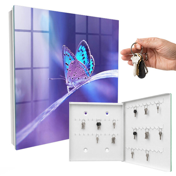 Dulap pentru chei Fluture colorat
