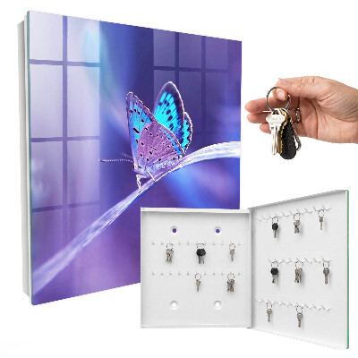 Dulap pentru chei Fluture colorat