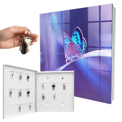 Dulap pentru chei Fluture colorat