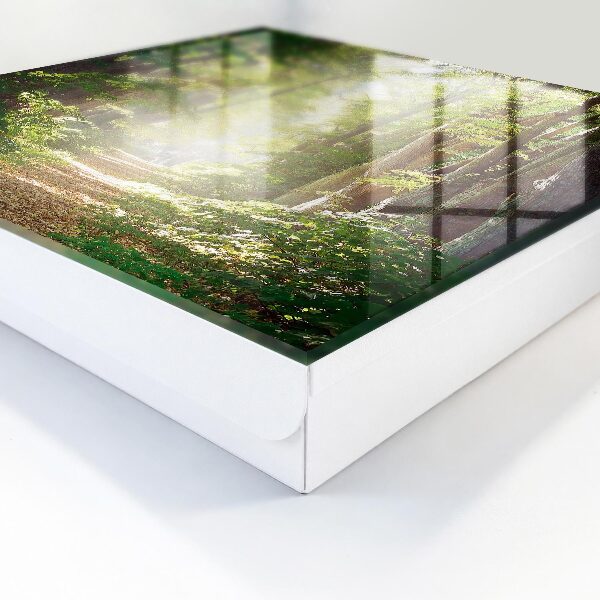 Dulap pentru chei Peisaj forestier