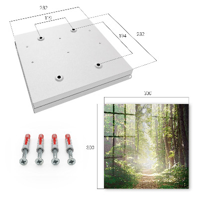 Dulap pentru chei Peisaj forestier