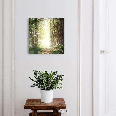 Dulap pentru chei Peisaj forestier