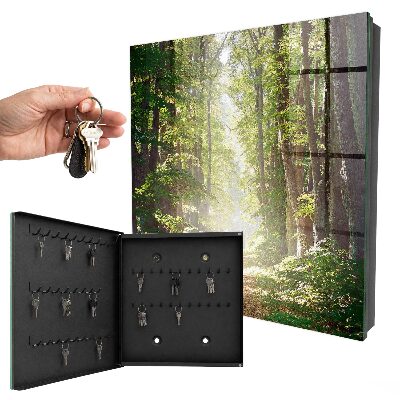 Dulap pentru chei Peisaj forestier