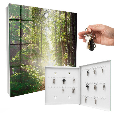 Dulap pentru chei Peisaj forestier