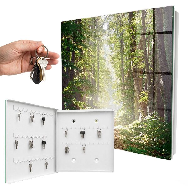 Dulap pentru chei Peisaj forestier