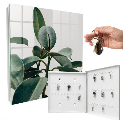 Dulap pentru chei Frunze de ficus