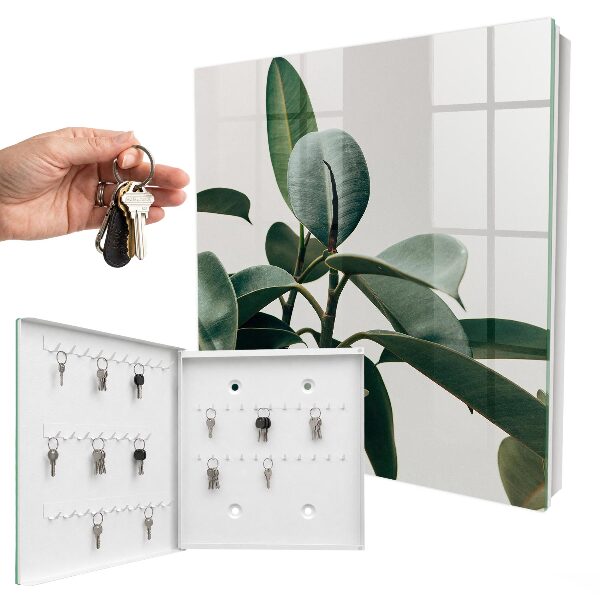 Dulap pentru chei Frunze de ficus