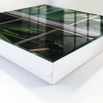 Dulap pentru chei Armonie verde