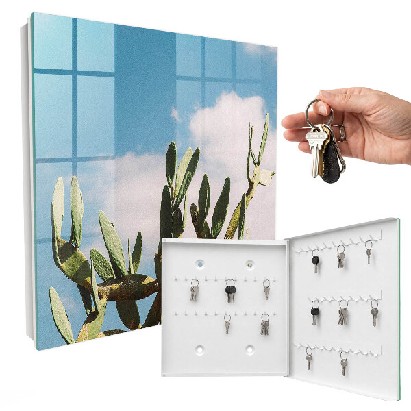 Dulap pentru chei Cactus verde