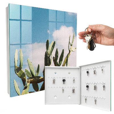 Dulap pentru chei Cactus verde