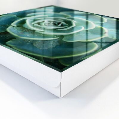 Dulap pentru chei Rozetă verde