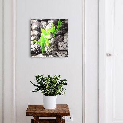 Dulap pentru chei Natura verde