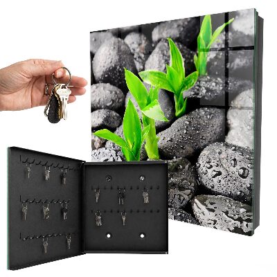 Dulap pentru chei Natura verde
