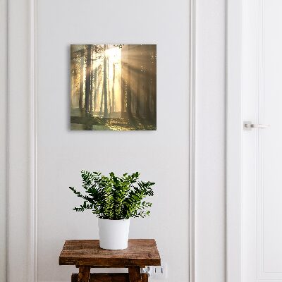 Dulap pentru chei Lumina pădurii