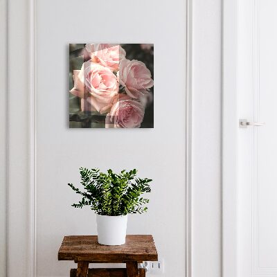 Dulap pentru chei Trandafiri roz